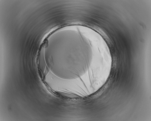 X0000112830806200910021221