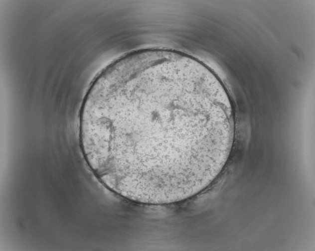 X0000112830807200910021221