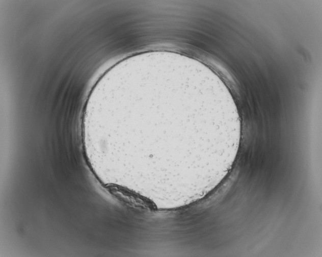 X0000112830808200910021221