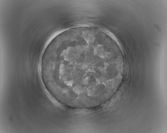 X0000112830811200910021221