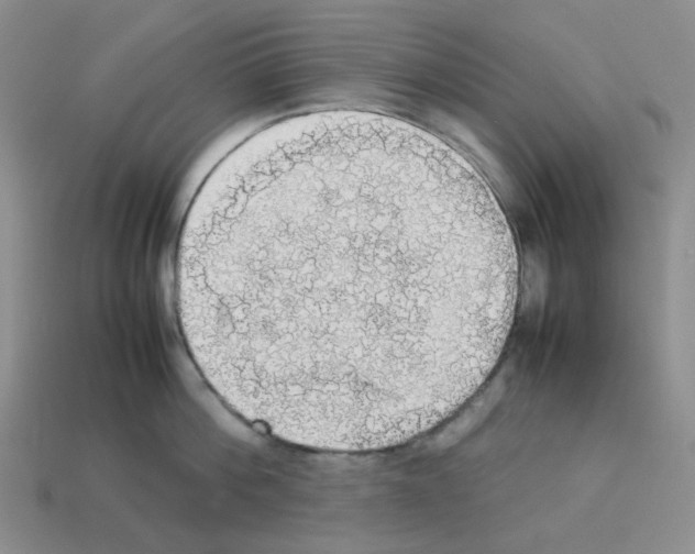 X0000112830812200910021221