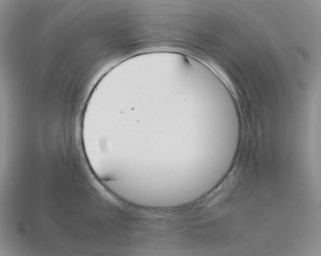 X0000112830813200910021221