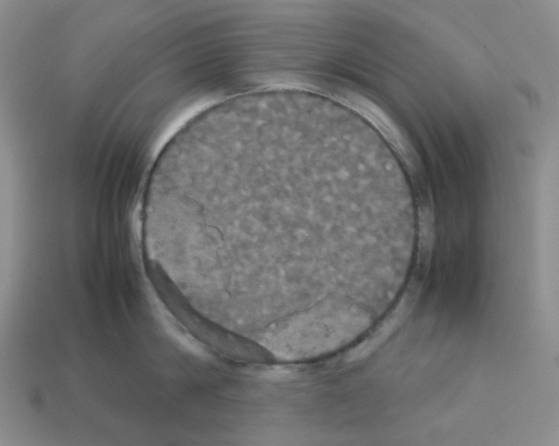 X0000112830814200910021221