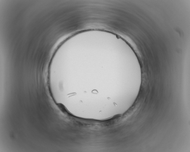 X0000112830815200910021221