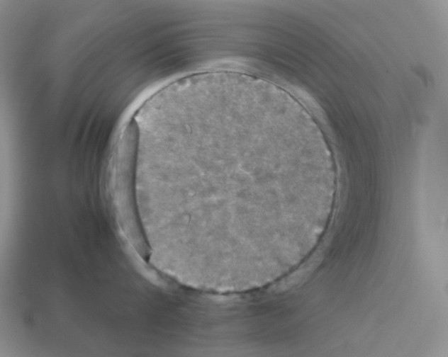 X0000112830816200910021221