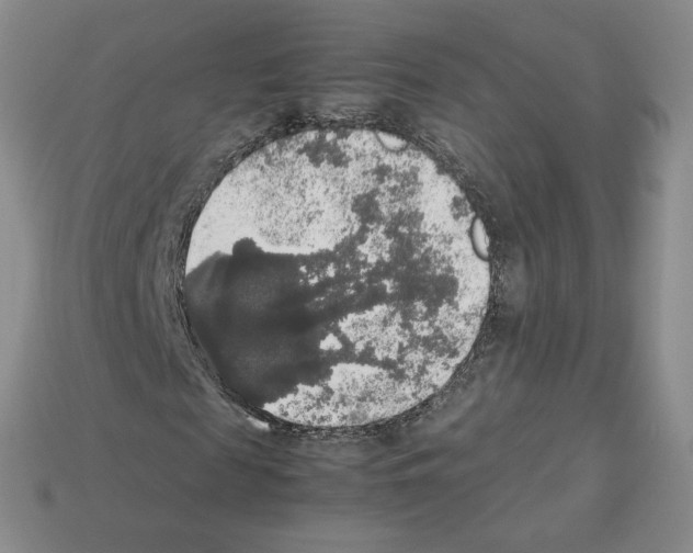 X0000112830817200910021220