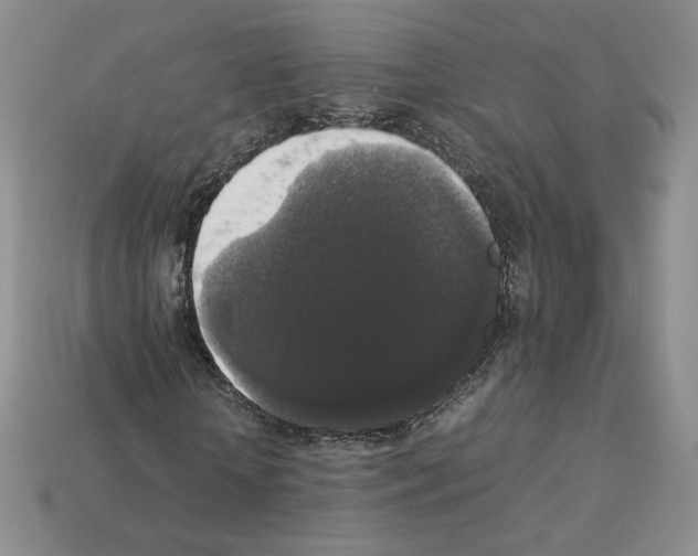 X0000112830818200910021220