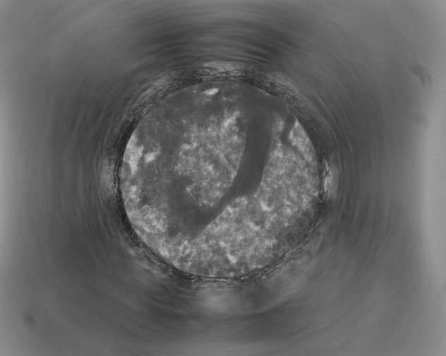 X0000112830819200910021220