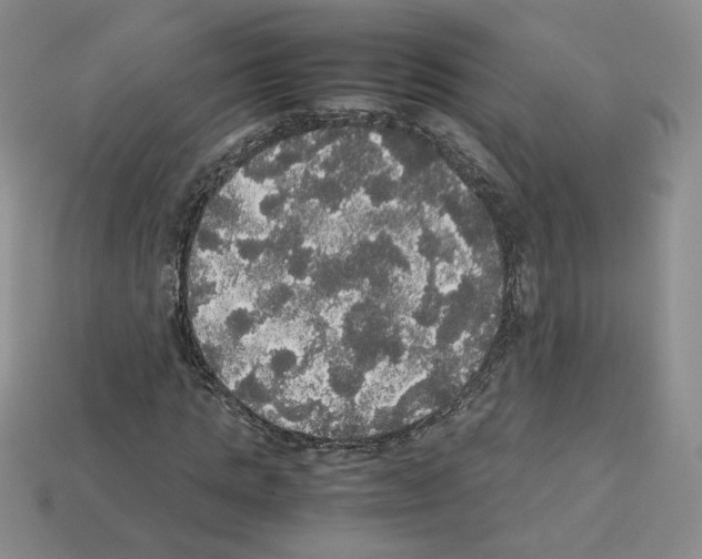 X0000112830821200910021220