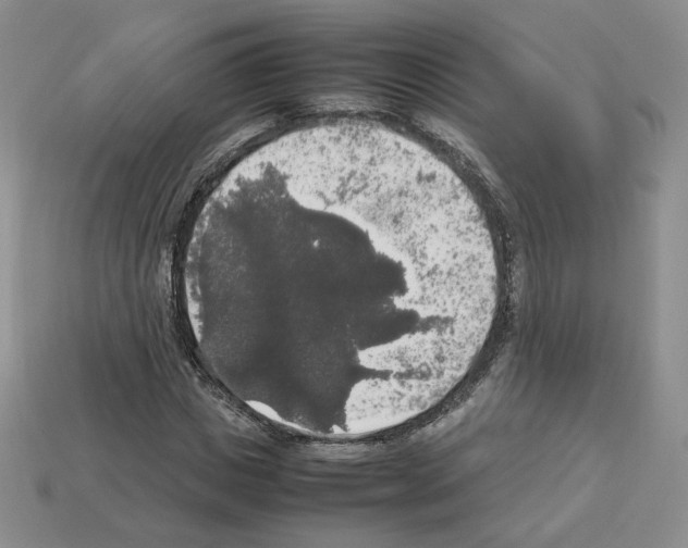 X0000112830825200910021220