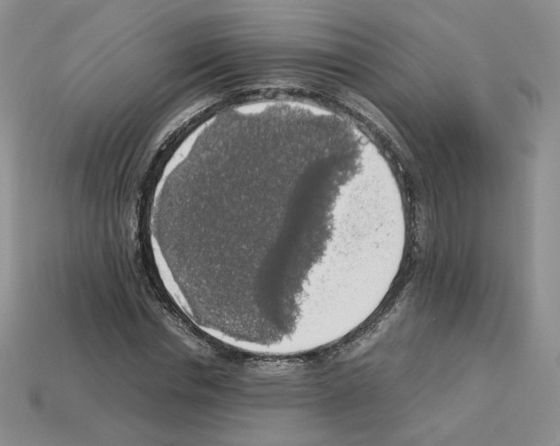 X0000112830826200910021220