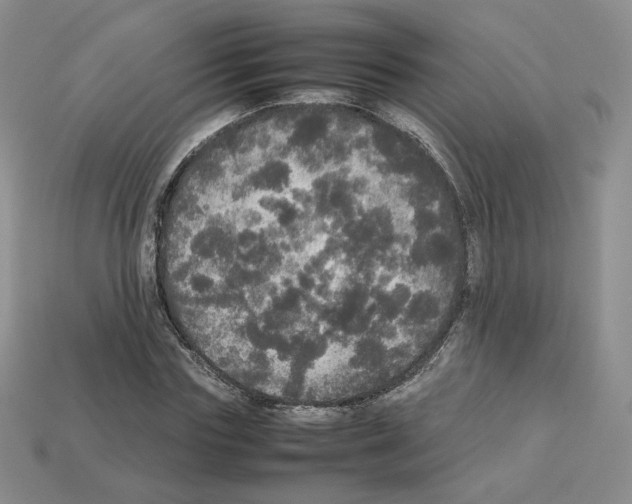 X0000112830827200910021221