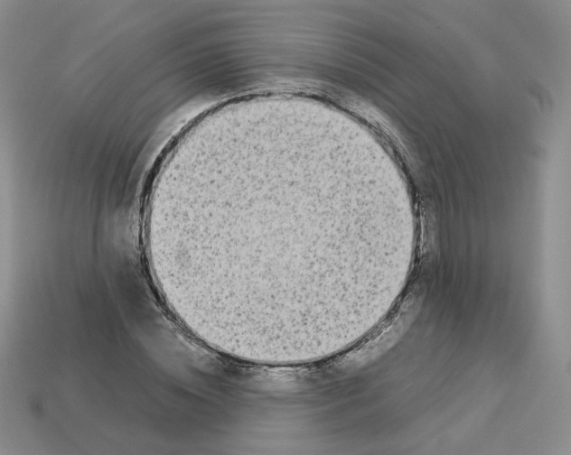 X0000112830828200910021221