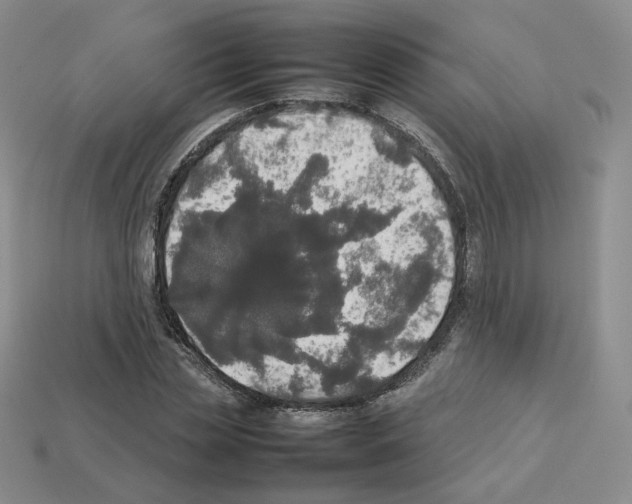 X0000112830829200910021221