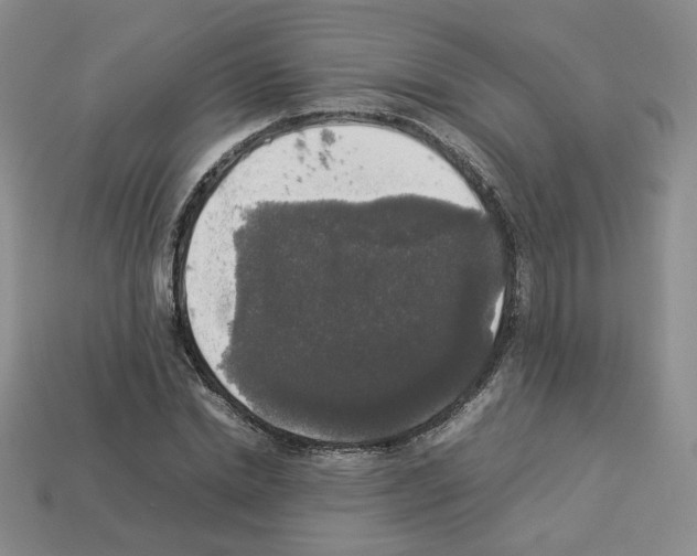 X0000112830830200910021221