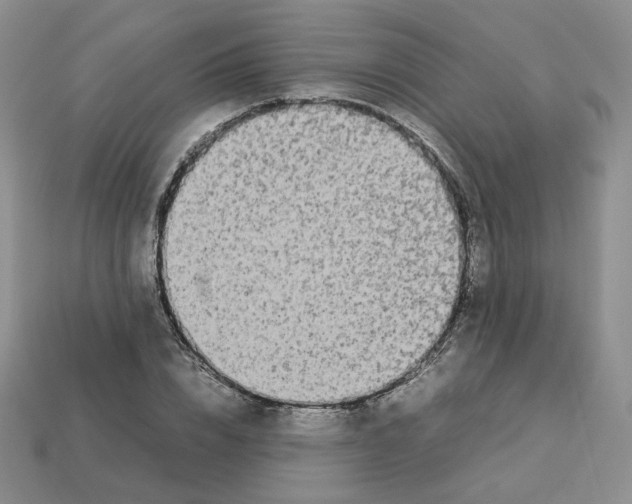 X0000112830832200910021221