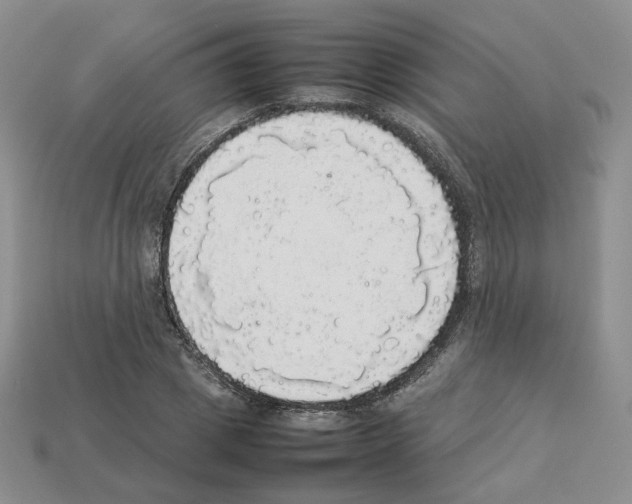 X0000112830833200910021221