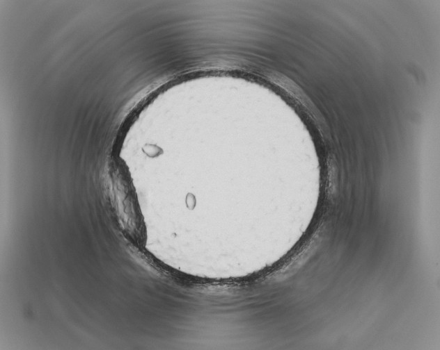 X0000112830834200910021221