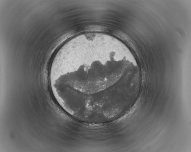 X0000112830835200910021221