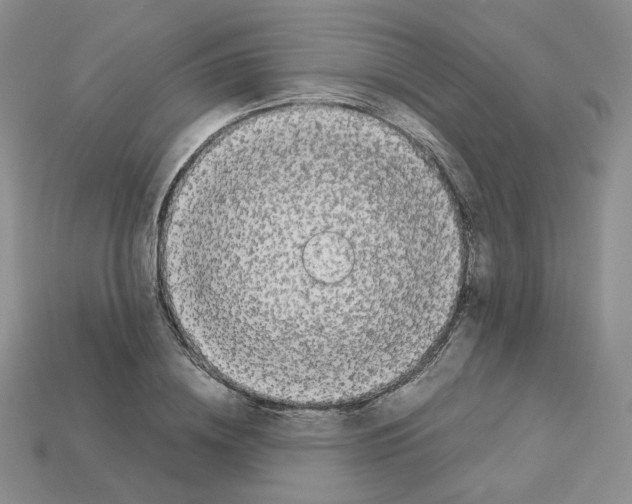 X0000112830836200910021221