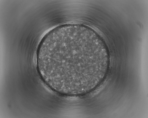 X0000112830838200910021221