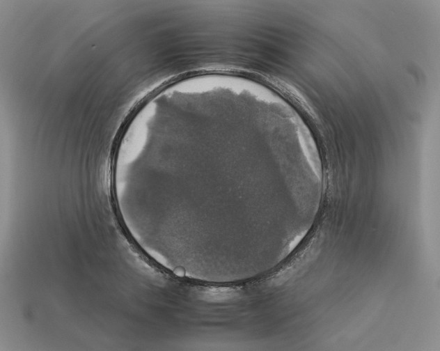 X0000112830839200910021221