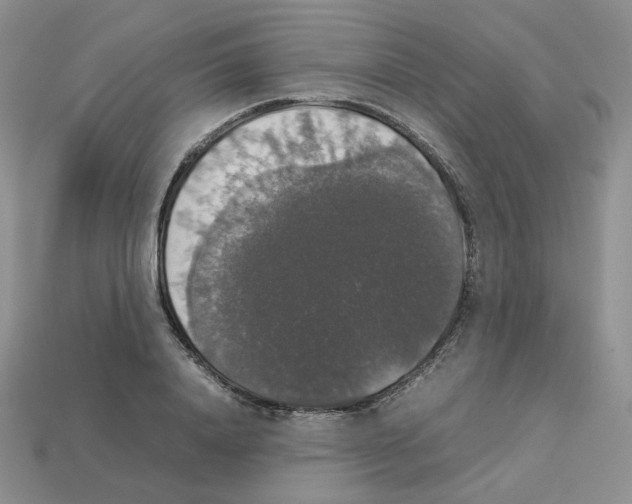 X0000112830840200910021221