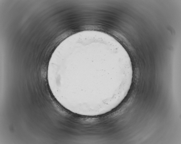 X0000112830841200910021221