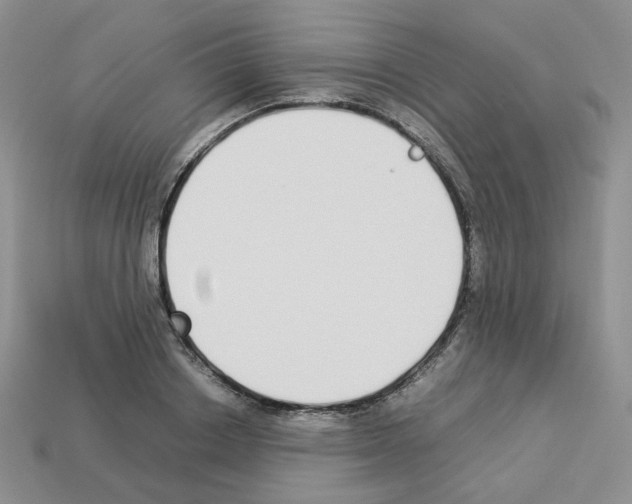 X0000112830842200910021221