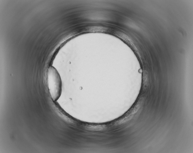 X0000112830843200910021221