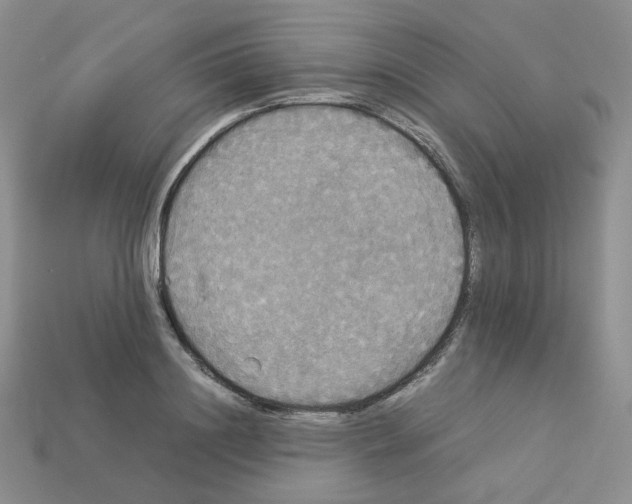 X0000112830844200910021221