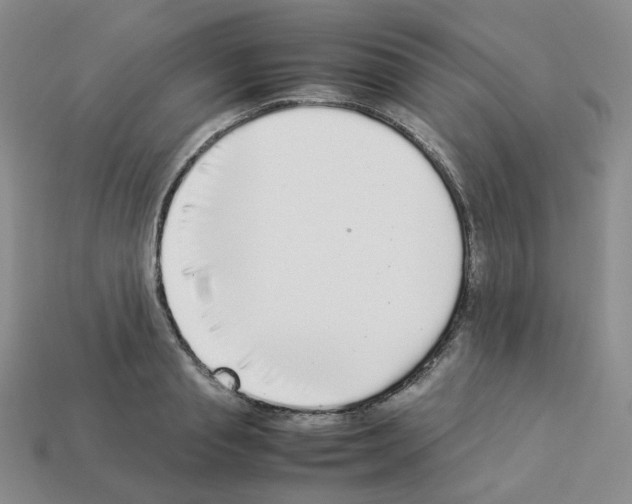 X0000112830845200910021221