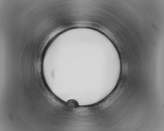 X0000112830846200910021221