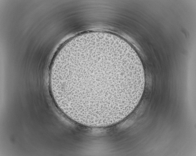 X0000112830848200910021221