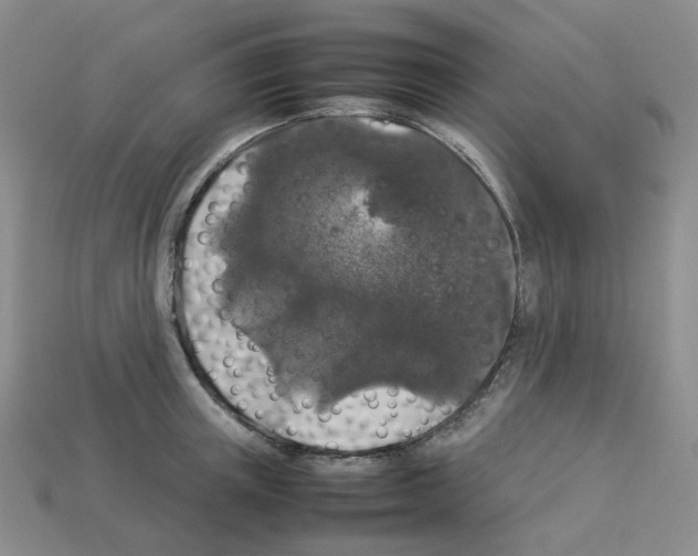 X0000112830851200910021221