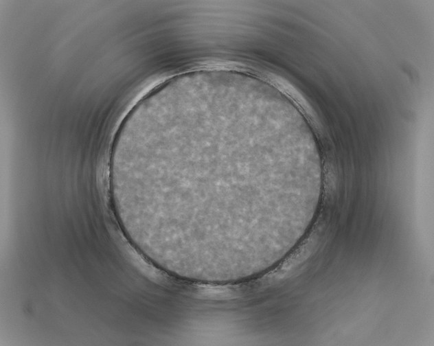 X0000112830852200910021221