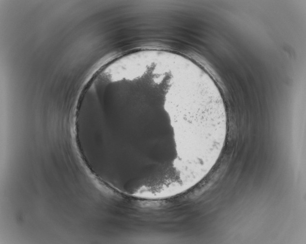 X0000112830853200910021221