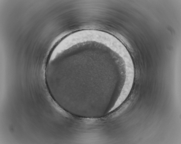 X0000112830854200910021221