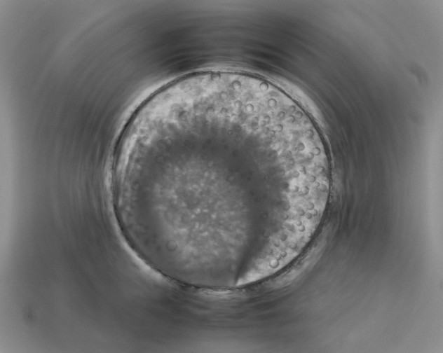 X0000112830855200910021221