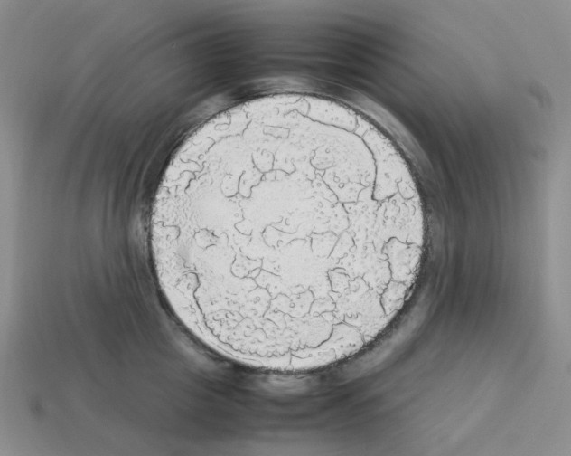 X0000112830857200910021221