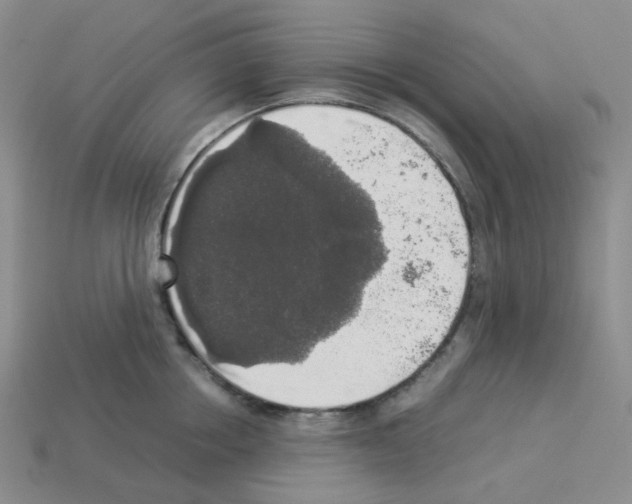 X0000112830858200910021221