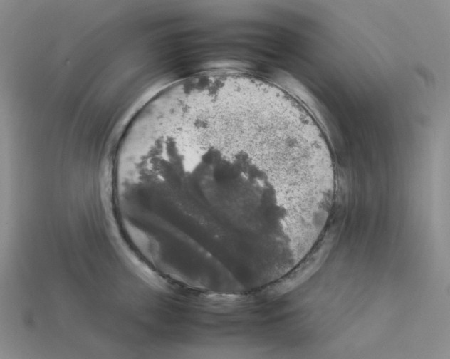 X0000112830859200910021221