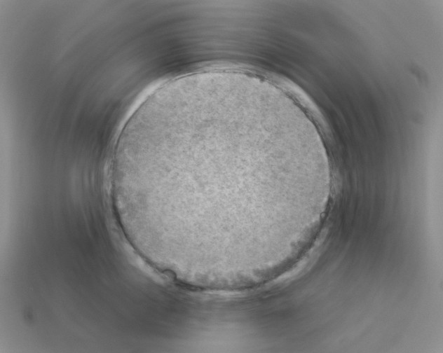 X0000112830860200910021221