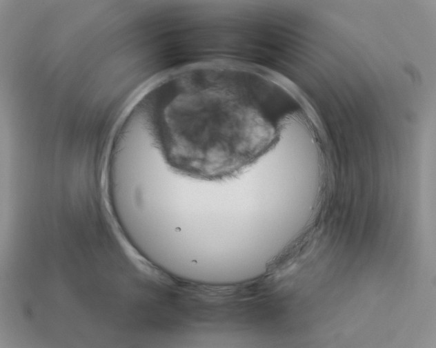 X0000112830861200910021221