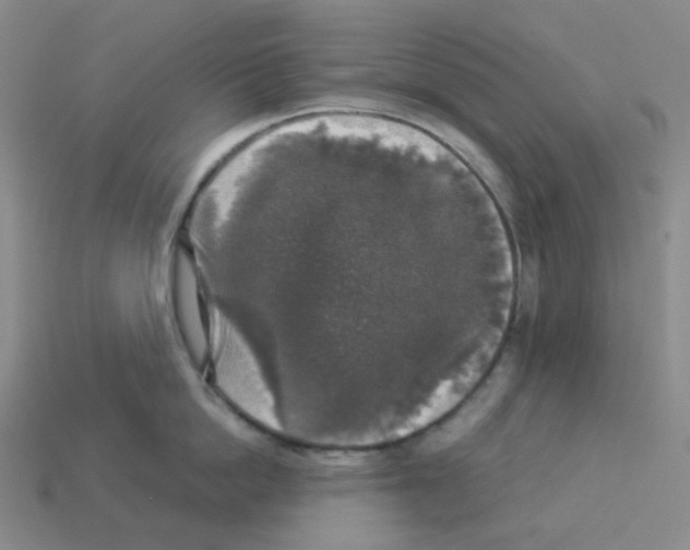 X0000112830862200910021221