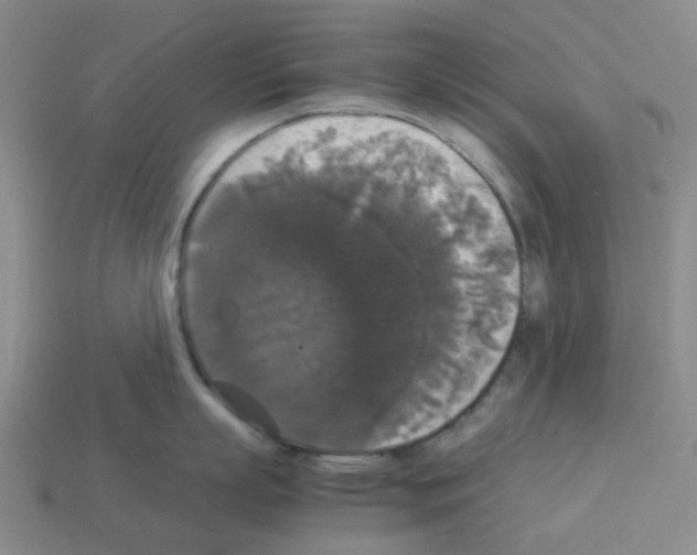 X0000112830863200910021221