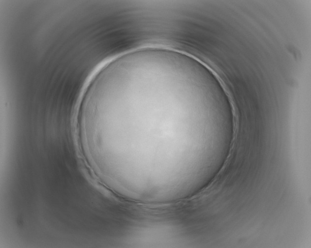 X0000112830864200910021221