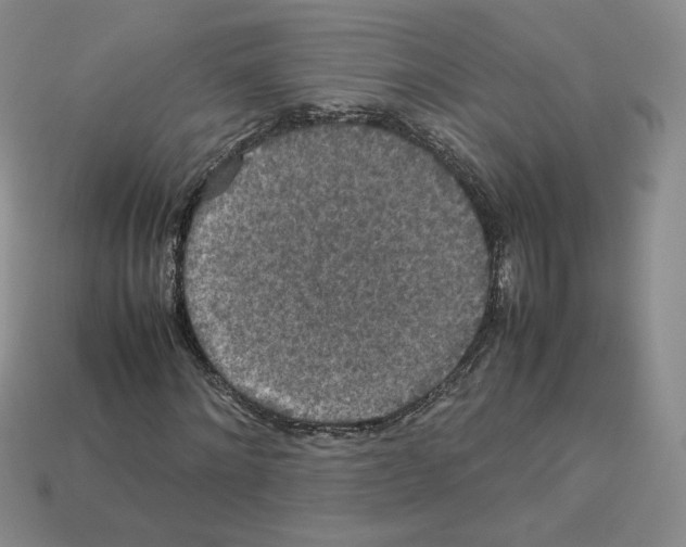 X0000112830868200910021220