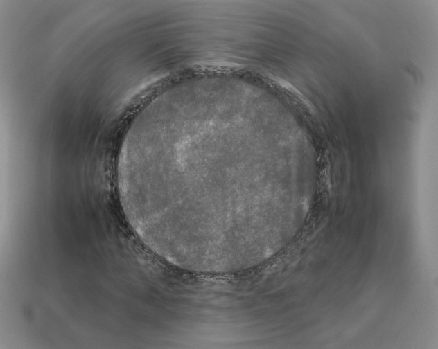 X0000112830870200910021220