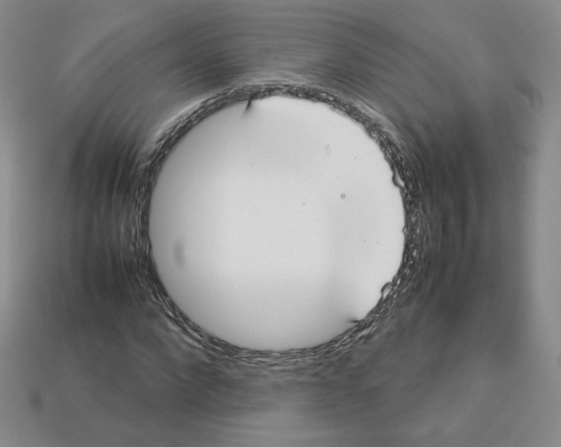 X0000112830872200910021220